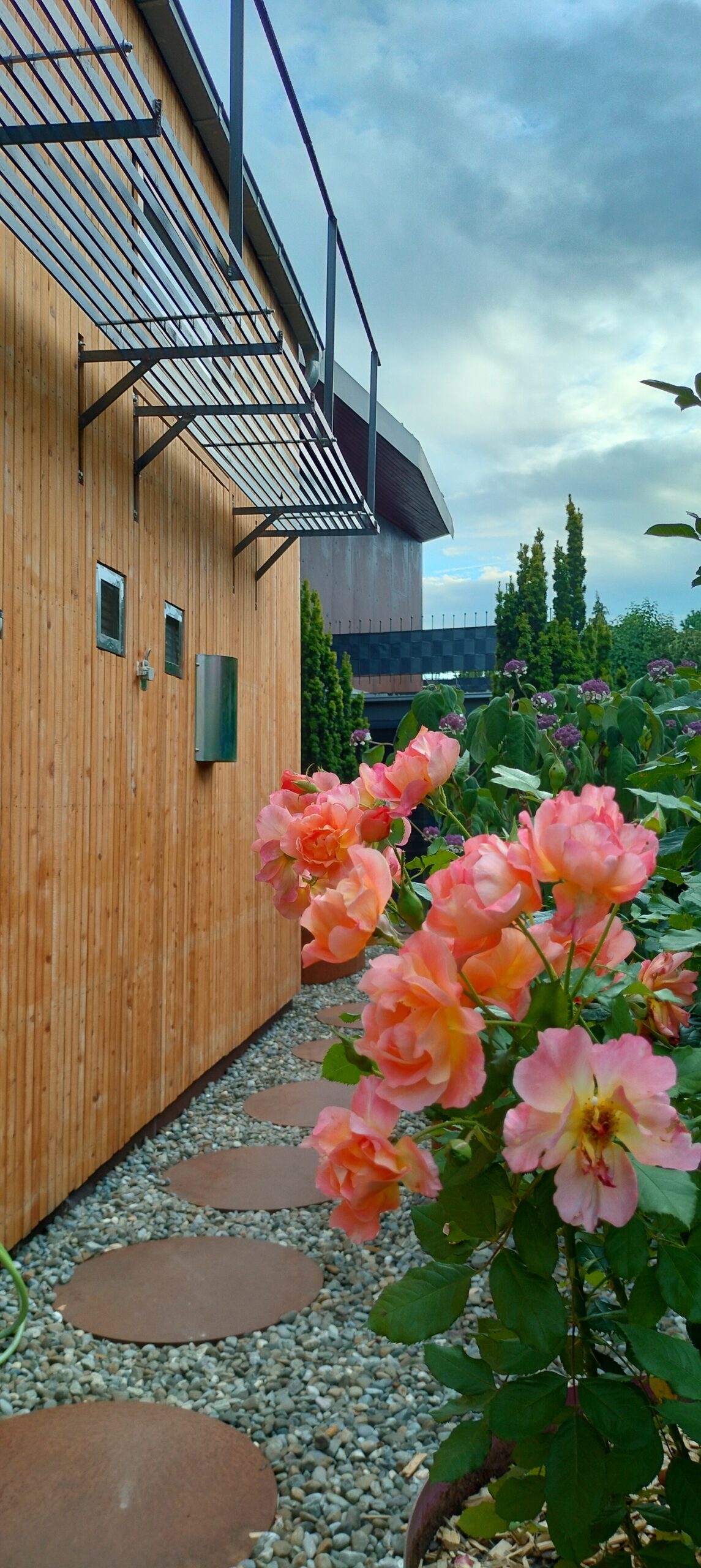 Hintereingang Garten Bepflanzung