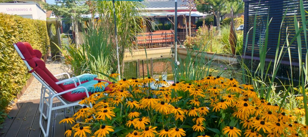 Garten Pool Wasser Schwimmen Liegen Entspannung