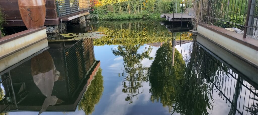 Garten Teich Pool Wasser